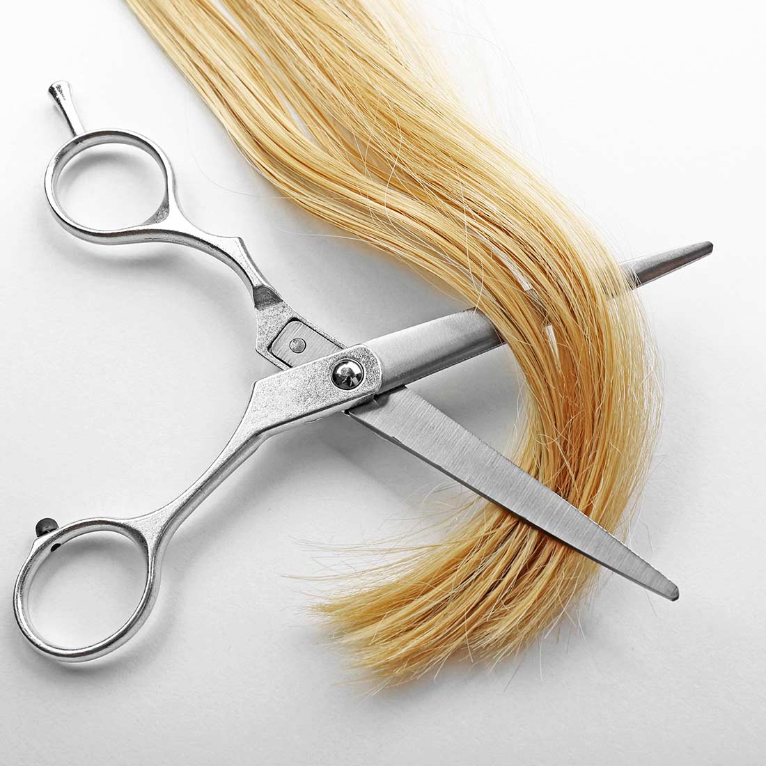 Expert salon haircuts at Blondology Salon in Hot Springs