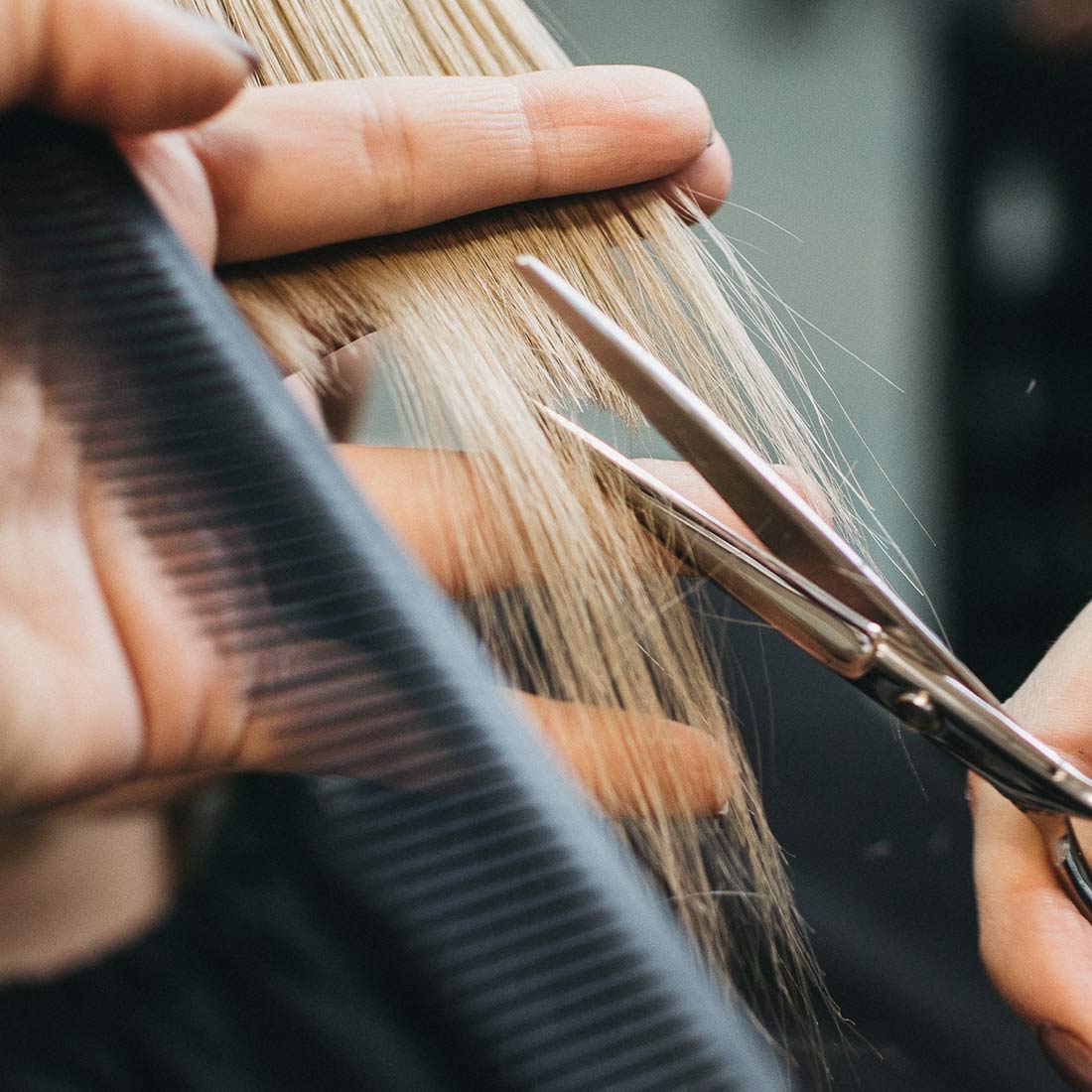 "Master stylist Scott Sachnoff performing a precision haircut at Blondology Salon in Hot Springs AR, showcasing expert technique for clients booking appointments."